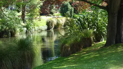 Photo of the Avon River (Ōtākaro) in the Christchurch Botanic Gardens