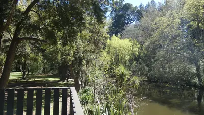 Photo of the river pond at Dannevirke Domain