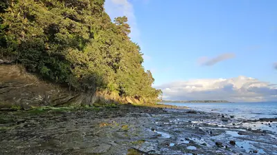 Photo of the Manukau Harbour