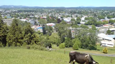 Photo of Tokoroa from the scenic lookout