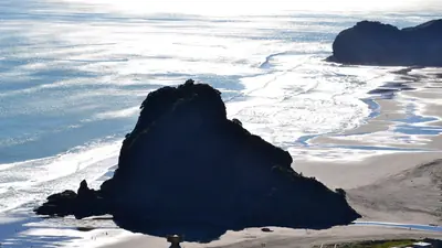 Photo of Lion Rock at Piha, in the Waitākere Ranges