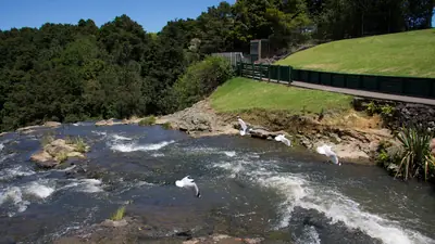 Photo of Whangārei Falls